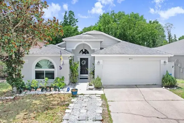 4711 Copper Canyon Boulevard, VALRICO, FL 33594