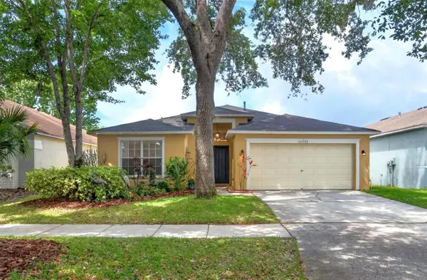 15433 Osprey Glen Drive, LITHIA, FL 33547