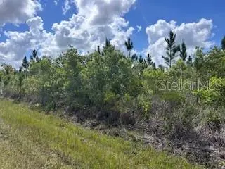 115 Japonica Avenue, INDIAN LAKE ESTATES, FL 33855