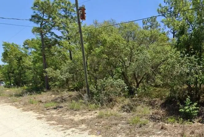 5276 W Winter Sun Lane, Homosassa, FL 34446 - #1