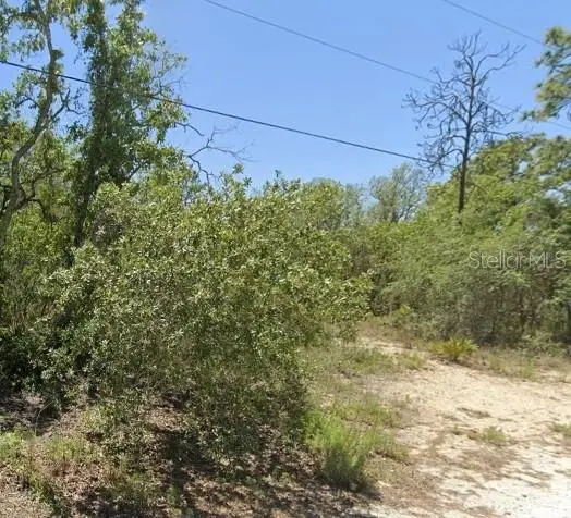 5276 W Winter Sun Lane, Homosassa, FL 34446 - #3