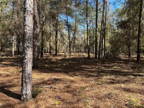 Lot 23 Sw 181st Cir, DUNNELLON, FL 34432