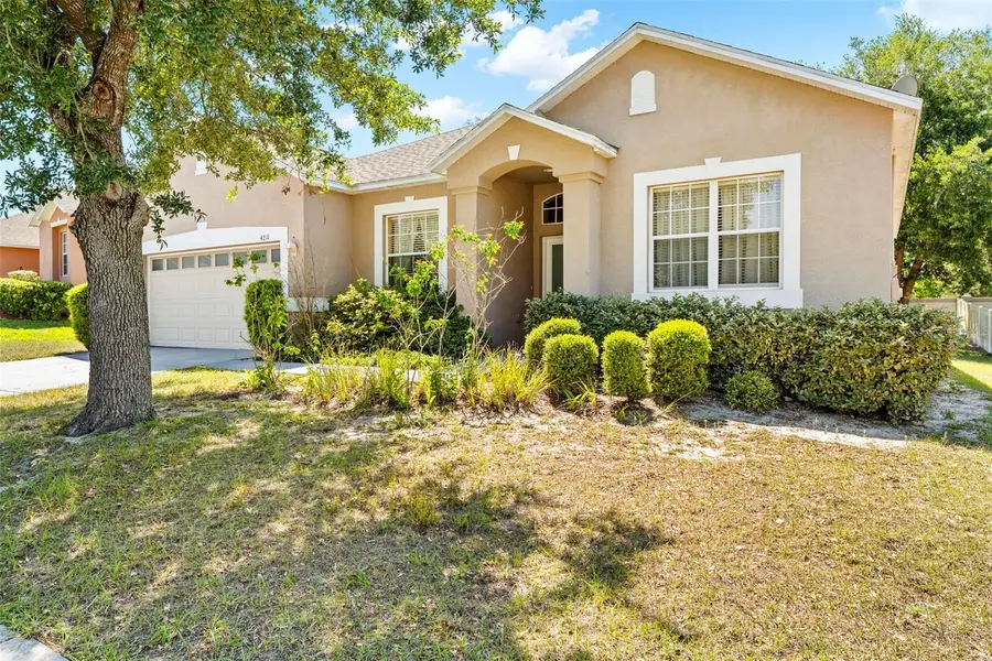 4211 Blakemore Place, Spring Hill, FL 34609 - #2