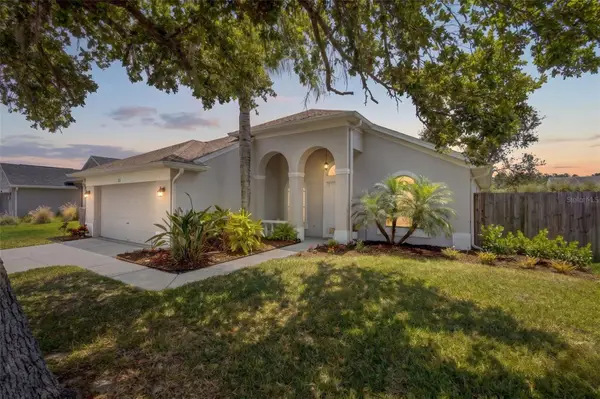 382 Fountainview Circle, OLDSMAR, FL 34677