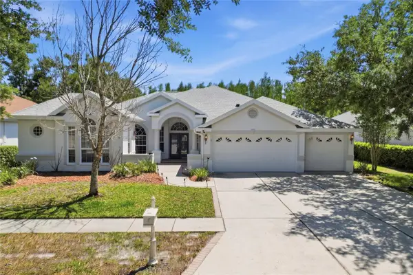 10206 Shadow Branch Drive, TAMPA, FL 33647