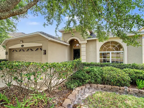 10905 Ancient Futures Drive, TAMPA, FL 33647