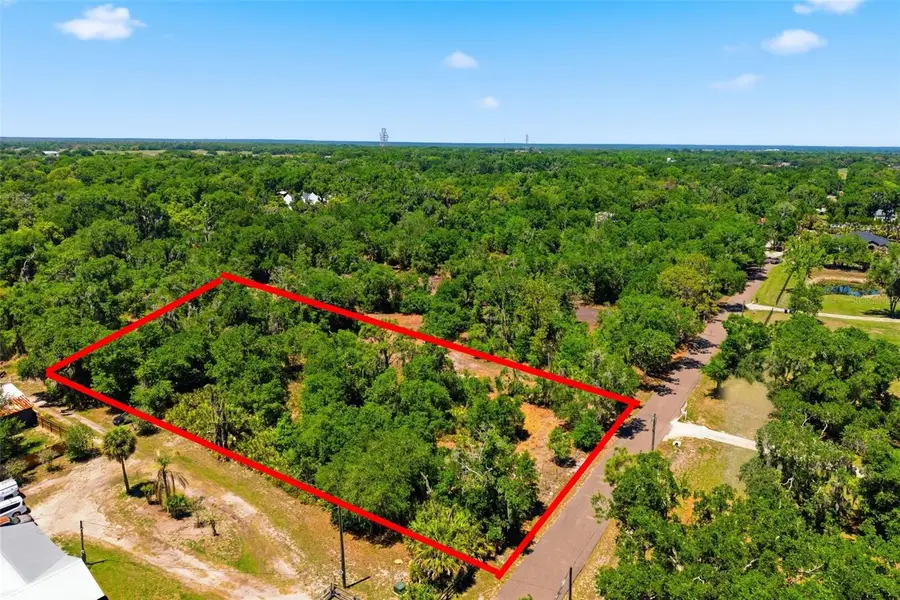 19084 Red Bird Lane #LOT 2, Lithia, FL 33547 - #3