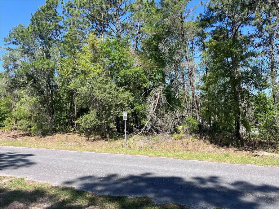 8000 N Pocono Drive, Citrus Springs, FL 34434 - #2