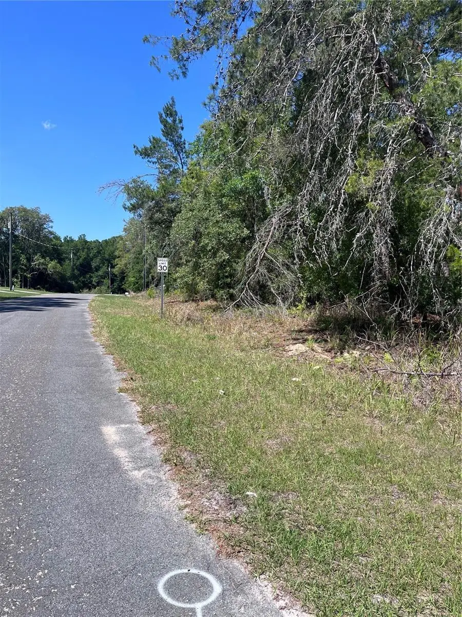 8000 N Pocono Drive, Citrus Springs, FL 34434 - #3