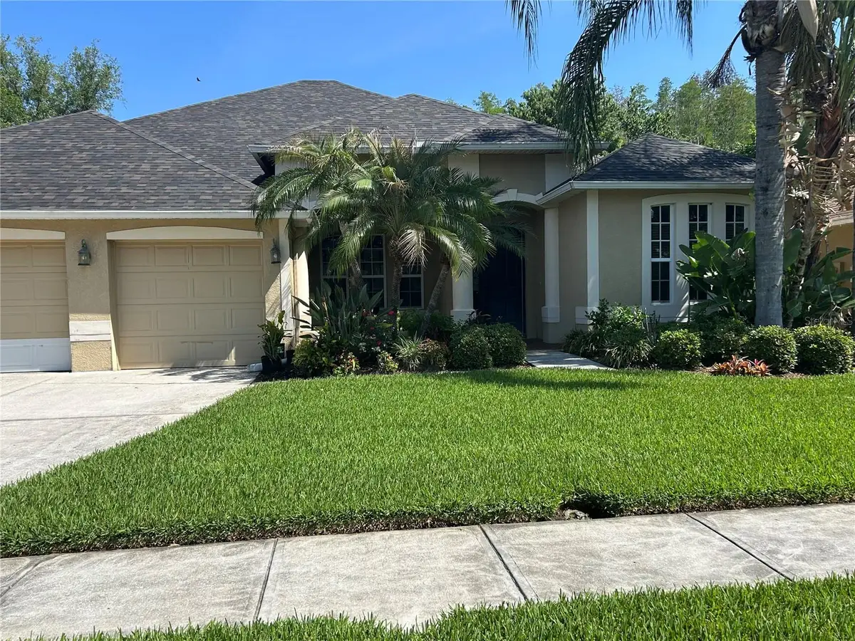 26612 Shoregrass Drive, Wesley Chapel, FL 33544 - #1