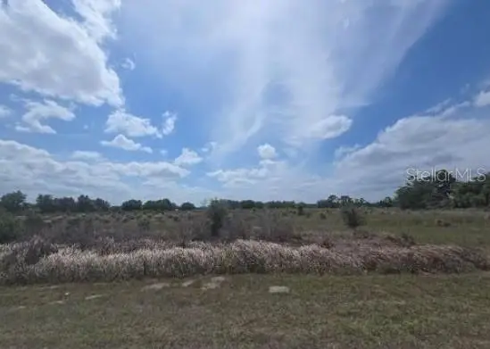 0 0 Artifact Drive, Zephyrhills, FL 33541 - #1