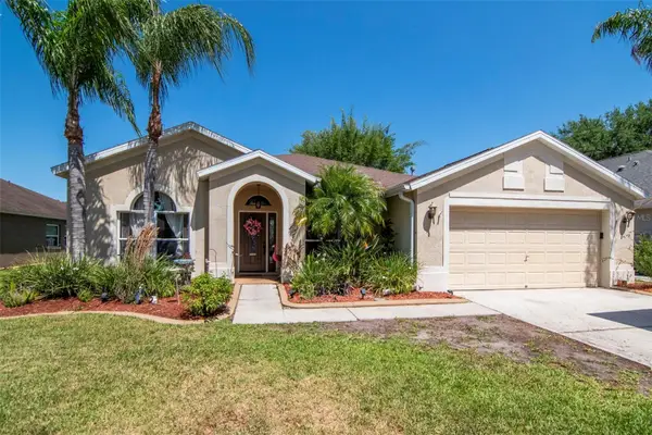 19103 Wind Dancer Street, LUTZ, FL 33558