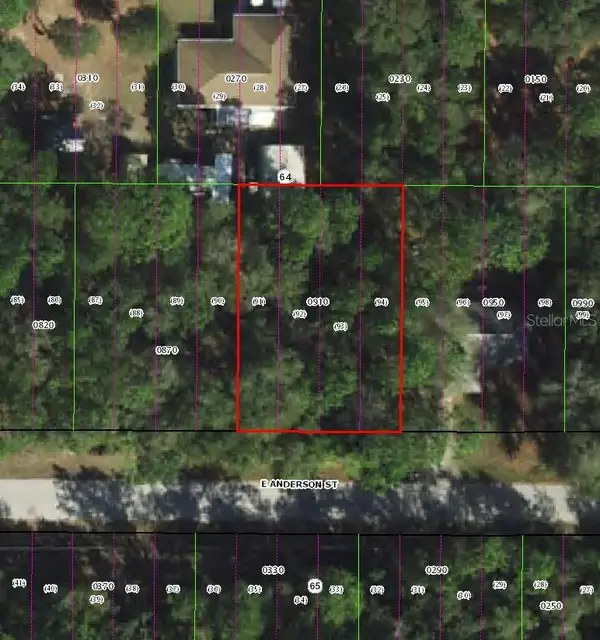3301 E Anderson Street, INVERNESS, FL 34453