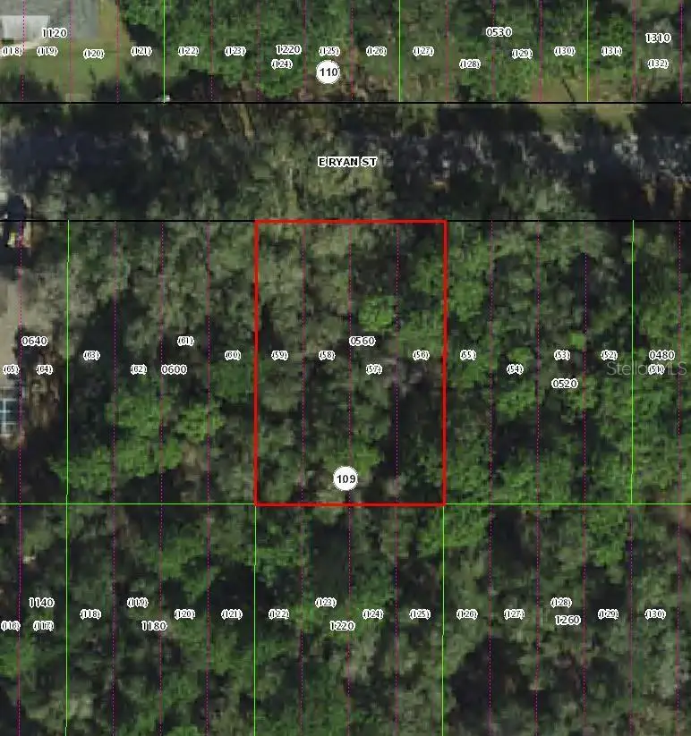 3958 E Ryan Street, Inverness, FL 34453 - #2