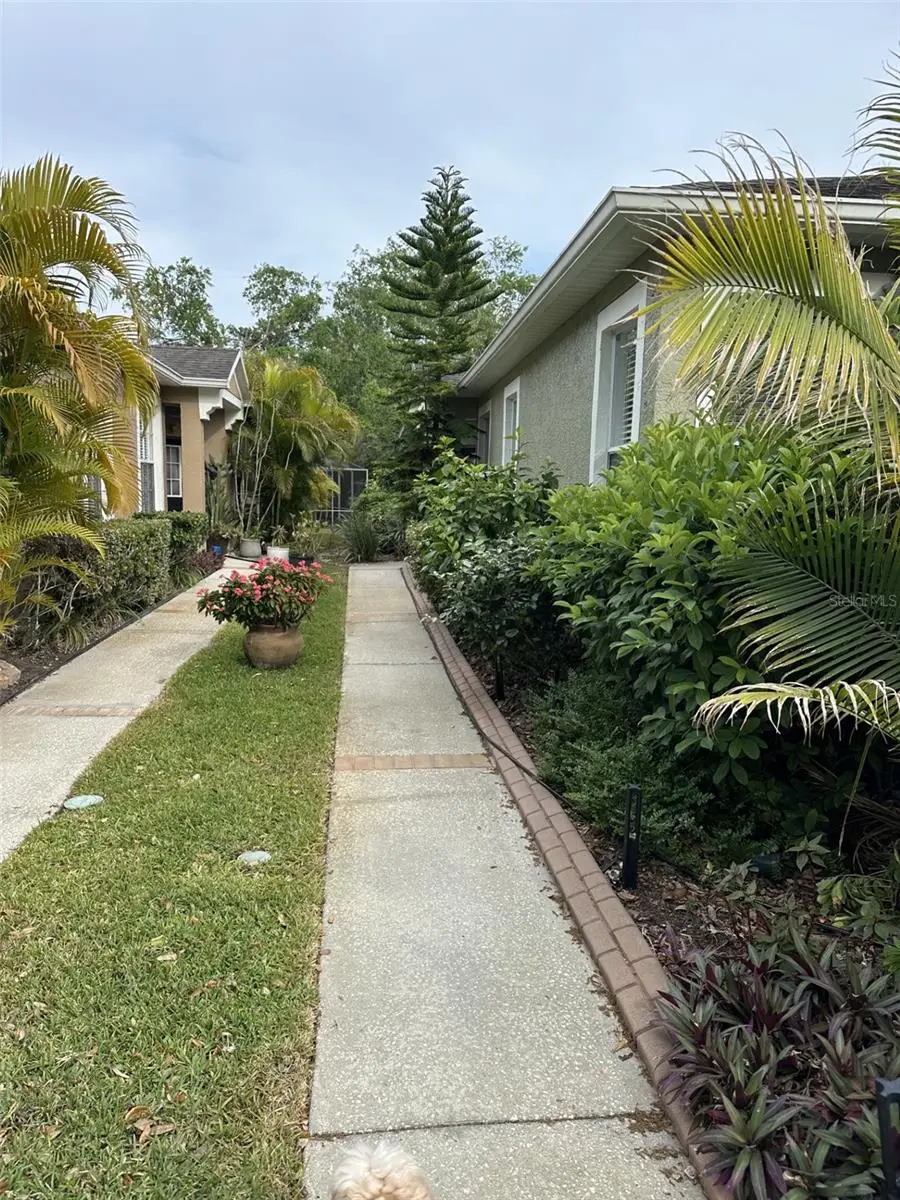 19113 Doves Landing Drive, Tampa, FL 33647 - #3