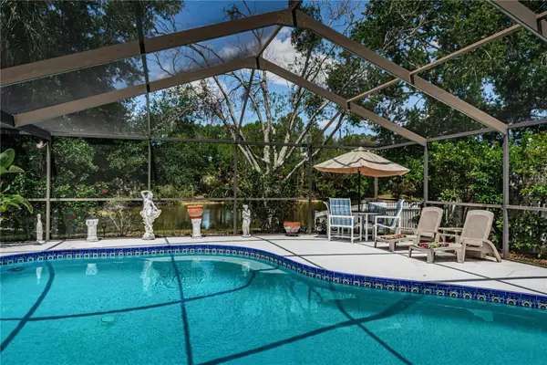 6804 Seafairer Drive, TAMPA, FL 33615