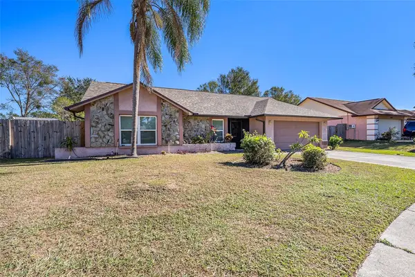 1606 Dusty Rose Lane, BRANDON, FL 33510