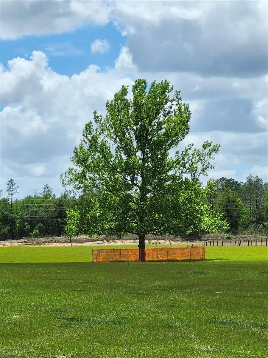 0 Christian Road #Lot 9, Dade City, FL 33523 - #3