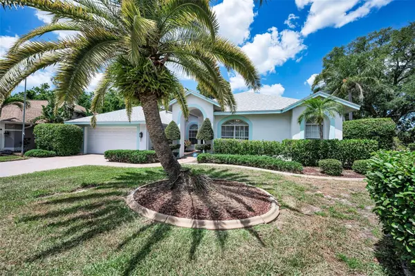 3423 Foxhall Drive, HOLIDAY, FL 34691