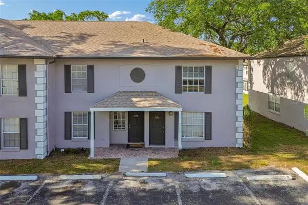 5156 Sunridge Palms Drive, TAMPA, FL 33617