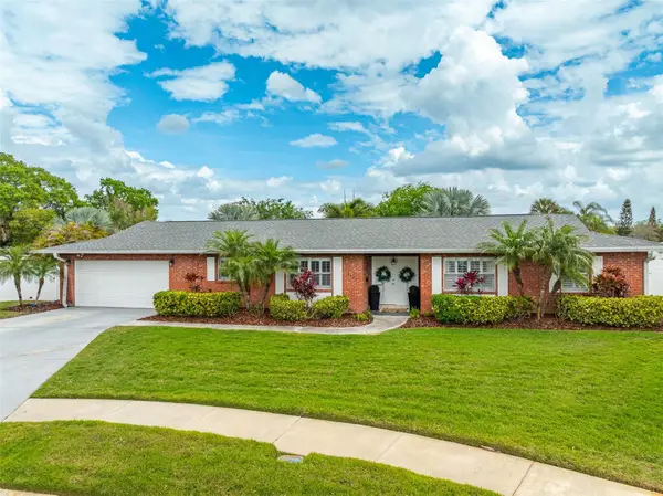 8401 Granite Place, TAMPA, FL 33615