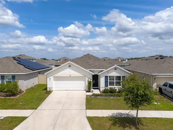 16742 Sunburst Lake Street, WIMAUMA, FL 33598