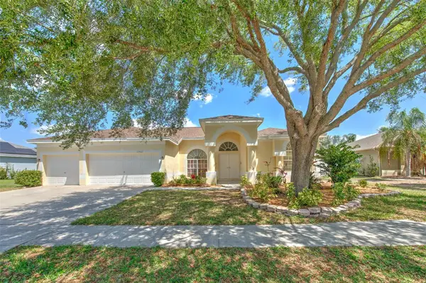 13022 Carlington Lane, RIVERVIEW, FL 33579