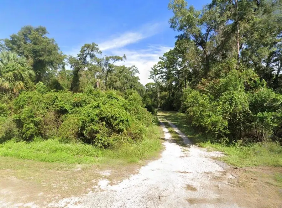 Dr Martin Luther King Jr Road, Crawfordville, FL 32327 - #2