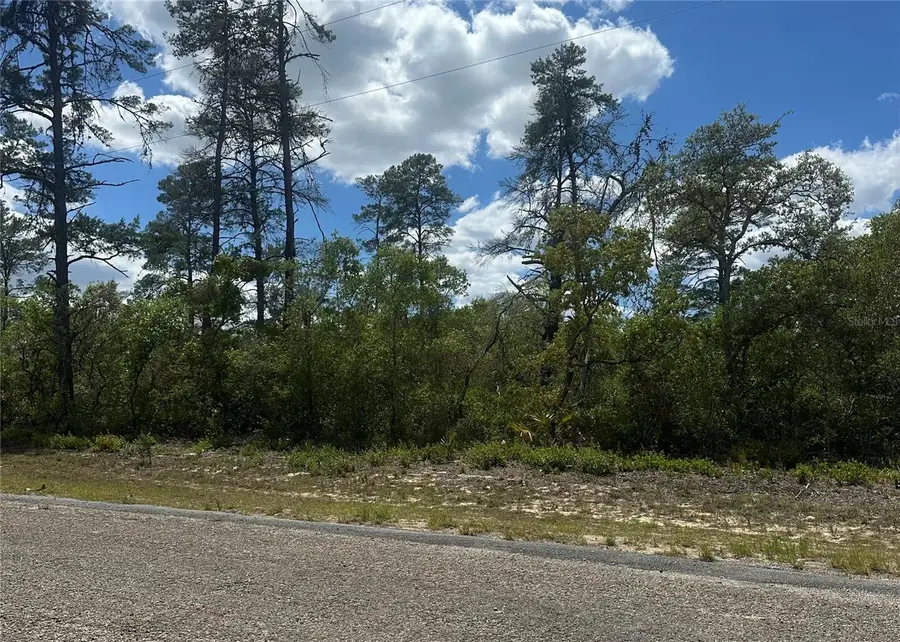 8036 N Wayside Avenue, Dunnellon, FL 34433 - #2
