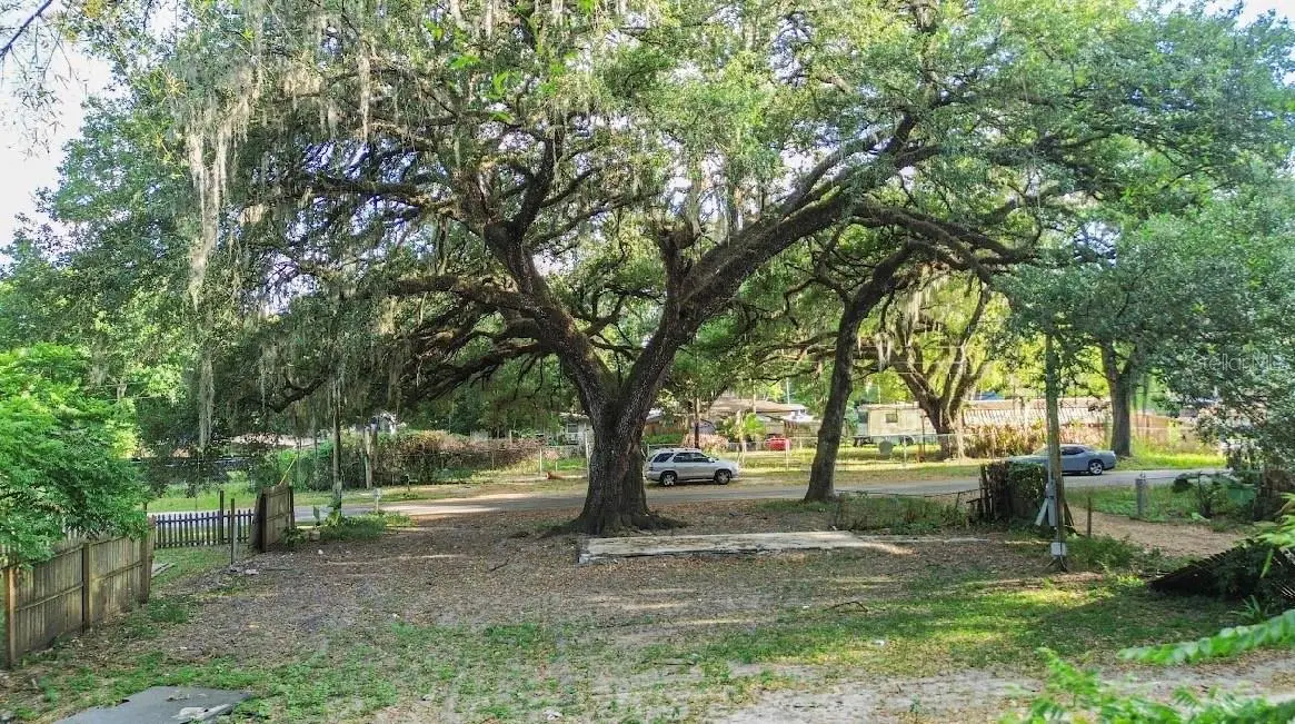 38319 Stebbins Avenue, Zephyrhills, FL 33542 - #1