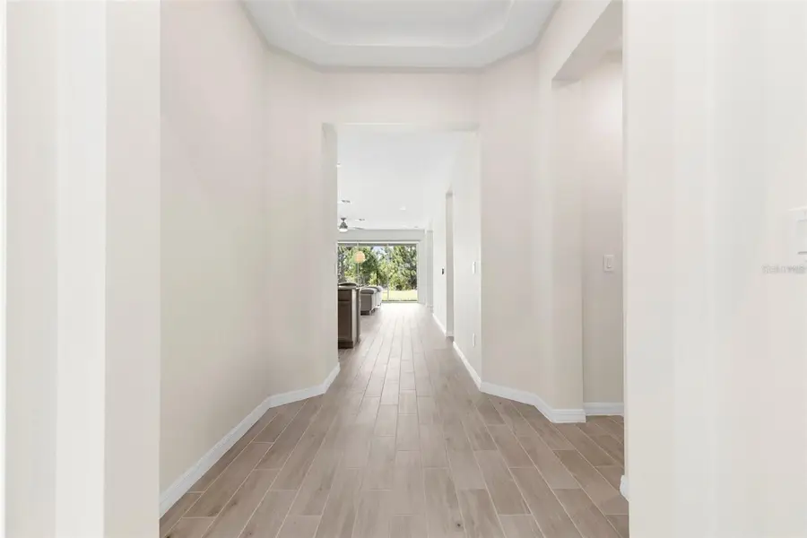 33410 Castaway Loop, Wesley Chapel, FL 33543 - #3
