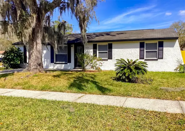 3613 Wisperbreath Lane, TAMPA, FL 33619
