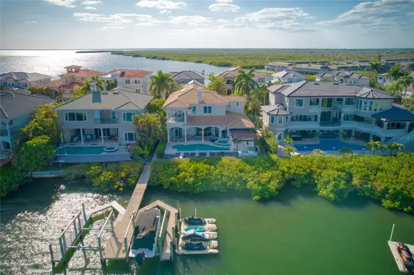 4117 Causeway Vista Drive, TAMPA, FL 33615