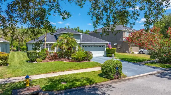 19254 Fishermans Bend Drive, LUTZ, FL 33558