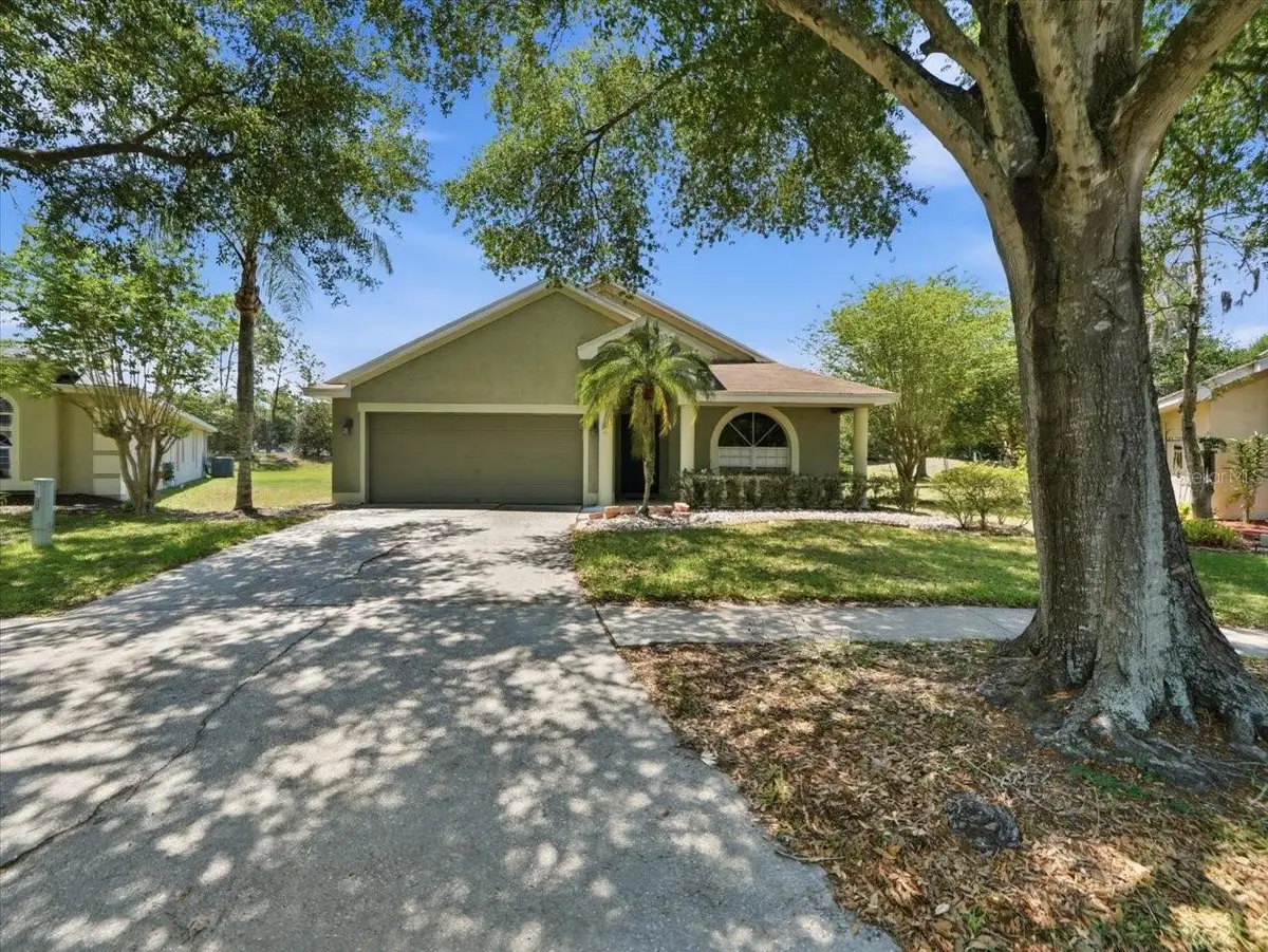 4528 Wild Plum Lane, Lutz, FL 33558 - #1