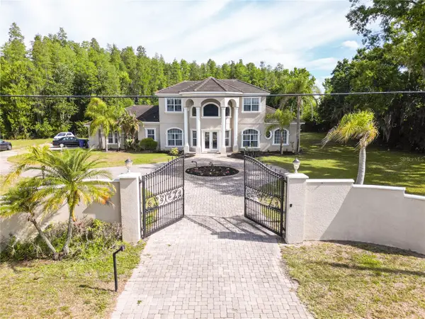 19153 Geraci Road, LUTZ, FL 33558