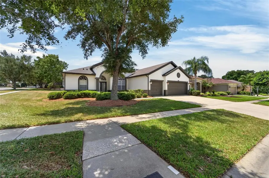 2309 Silver Trumpet Court, Valrico, FL 33594 - #3