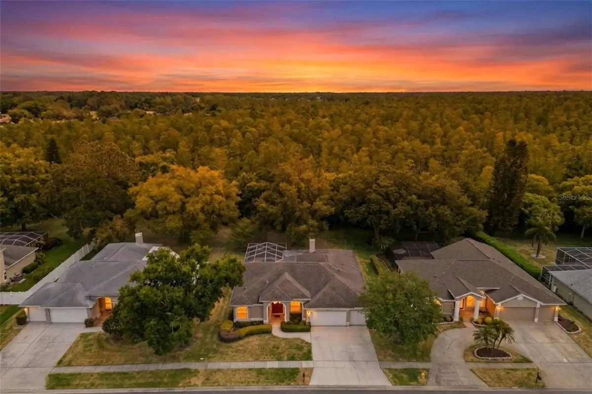 18543 Bittern Avenue, Lutz, FL 33558 - #1