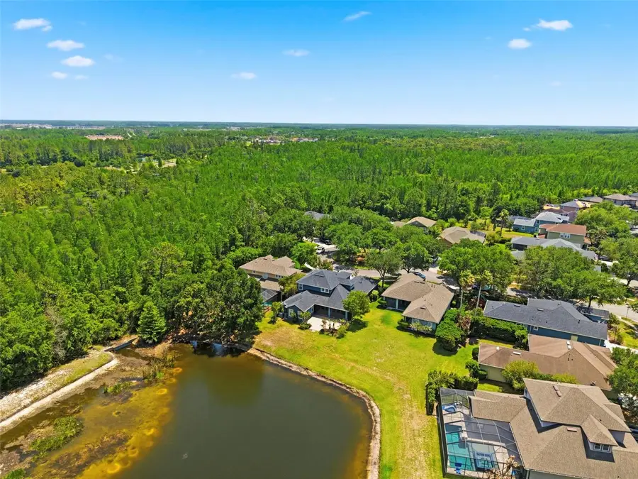 20629 Wild Plum Court, Land O Lakes, FL 34637 - #3