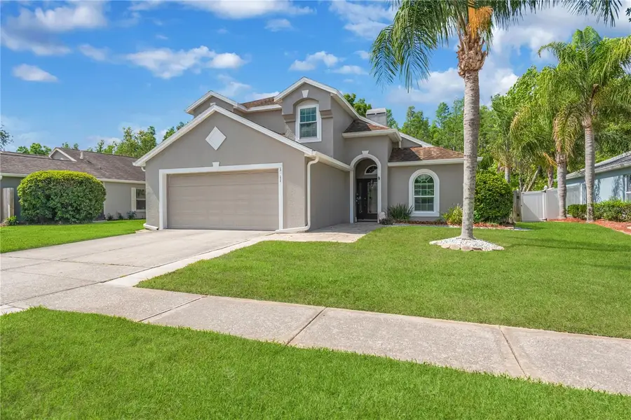 1211 Timber Trace Drive, Wesley Chapel, FL 33543 - #3