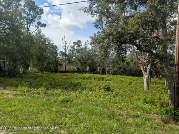 0 Merlin Circle, DADE CITY, FL 33523
