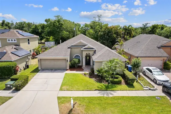 10903 Arbor Ridge Drive, TAMPA, FL 33624