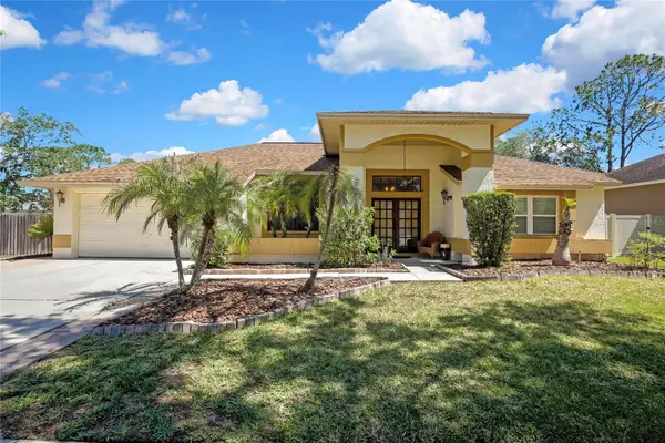 9304 Rockrose Drive, TAMPA, FL 33647