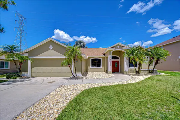 4505 Bloomsbury Court, TAMPA, FL 33624
