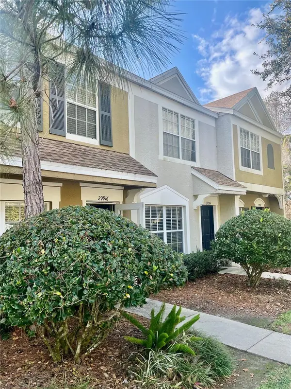 29916 Alta Vita Lane, WESLEY CHAPEL, FL 33543