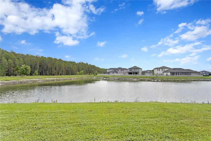 4880 Isola Court, Wesley Chapel, FL 33543 - #2