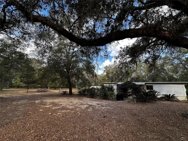 12212 NE 238th Terrace, SALT SPRINGS, FL 32134
