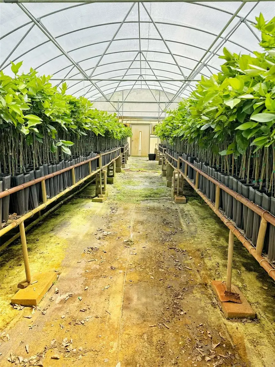 612 Morgan Road, Winter Haven, FL 33880 - #3