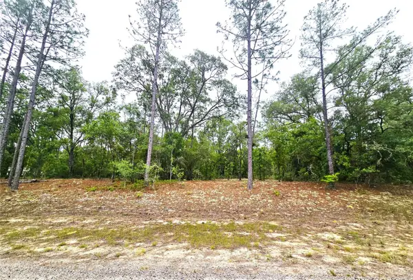 576 E Nemo Drive, DUNNELLON, FL 34434
