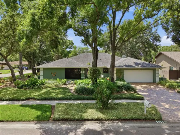 5046 Barrowe Drive, TAMPA, FL 33624